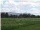 Pokolbin NSW 2320