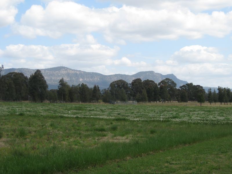 Pokolbin NSW 2320