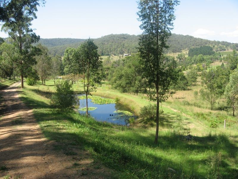 Laguna NSW 2325