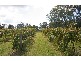 Pokolbin NSW 2320
