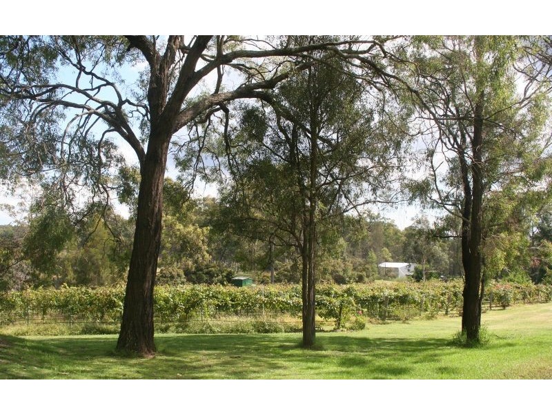 Pokolbin NSW 2320