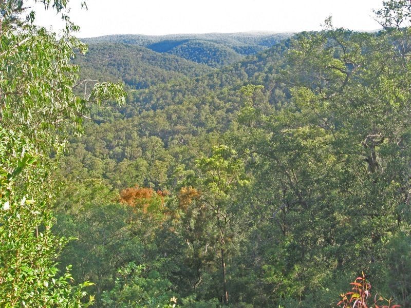 Laguna NSW 2325