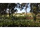 10  Ironbark Drive, North Rothbury NSW 2335