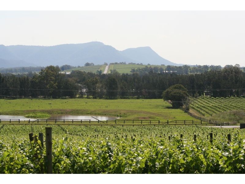 25 Londons Road, Lovedale NSW 2325