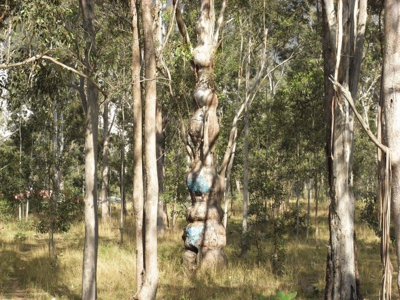 Belford NSW 2335