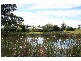 Lovedale NSW 2325