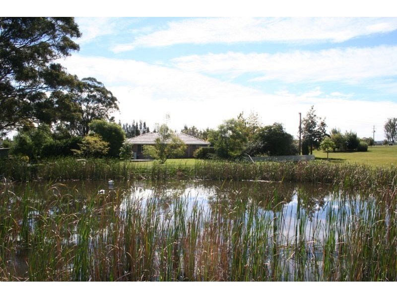 Lovedale NSW 2325