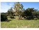 Lovedale NSW 2325