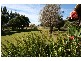 Lovedale NSW 2325