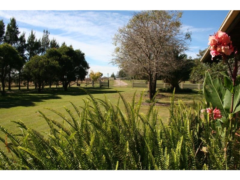 Lovedale NSW 2325
