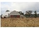 Cessnock NSW 2325
