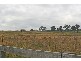 Cessnock NSW 2325