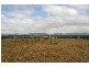 Cessnock NSW 2325