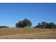 Anambah NSW 2320
