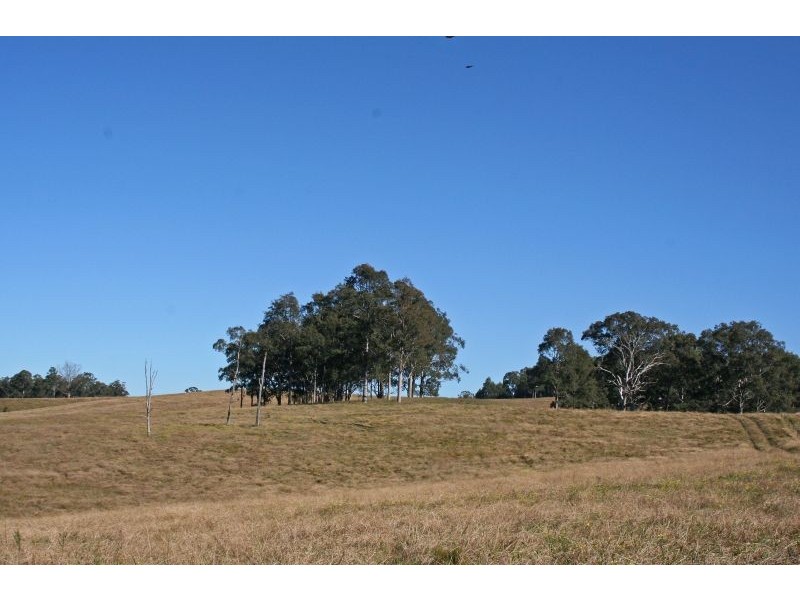 Anambah NSW 2320