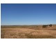 Anambah NSW 2320