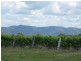 100 Wine Country Drive, Pokolbin NSW 2320