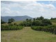 100 Wine Country Drive, Pokolbin NSW 2320
