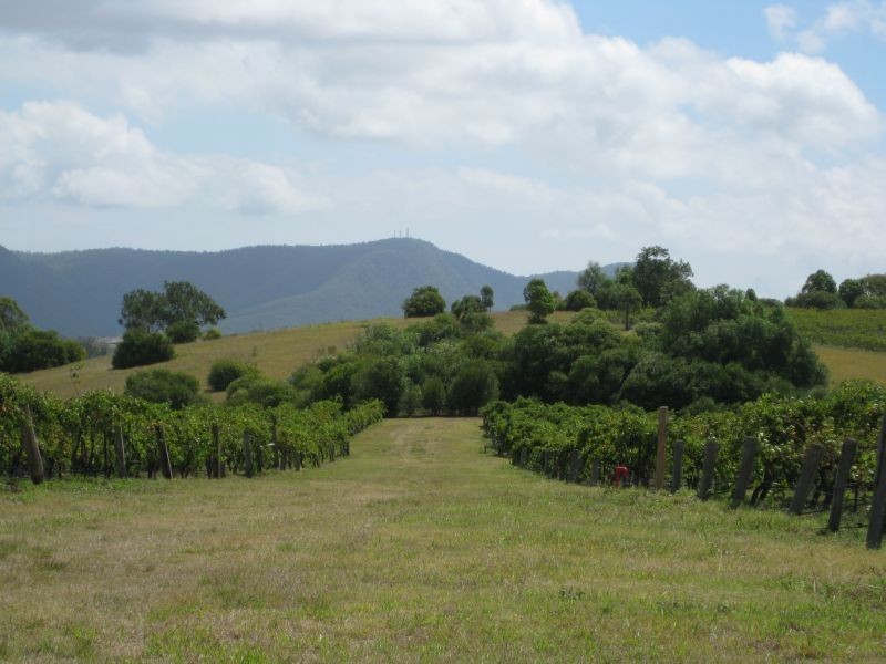 100 Wine Country Drive, Pokolbin NSW 2320