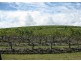 100 Wine Country Drive, Pokolbin NSW 2320