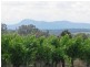 100 Wine Country Drive, Pokolbin NSW 2320