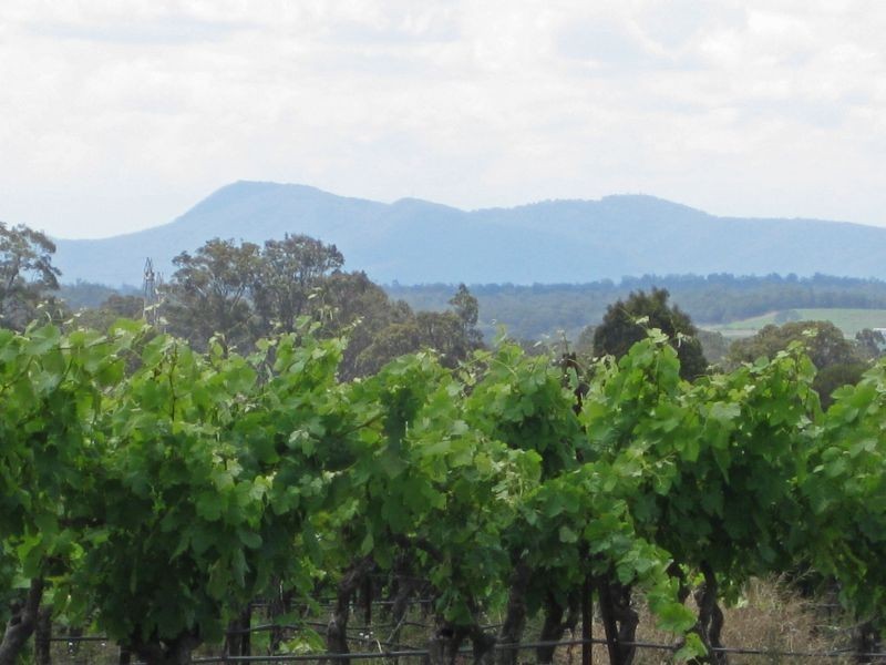 100 Wine Country Drive, Pokolbin NSW 2320