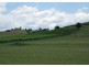 100 Wine Country Drive, Pokolbin NSW 2320