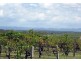 100 Wine Country Drive, Pokolbin NSW 2320