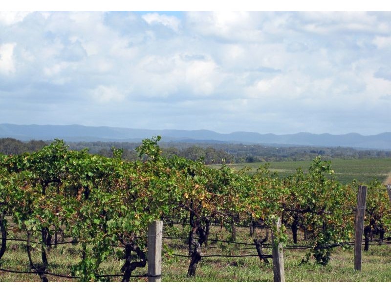 100 Wine Country Drive, Pokolbin NSW 2320