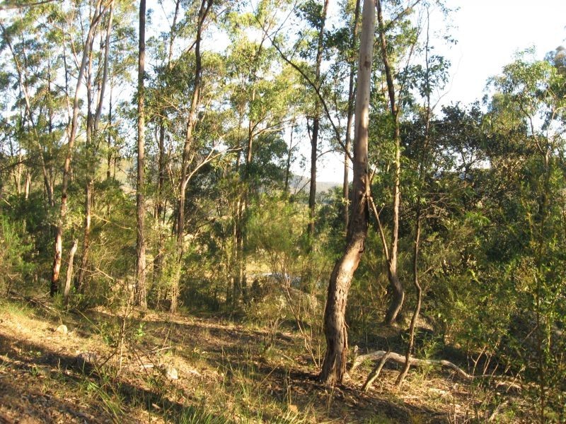 Broke NSW 2330