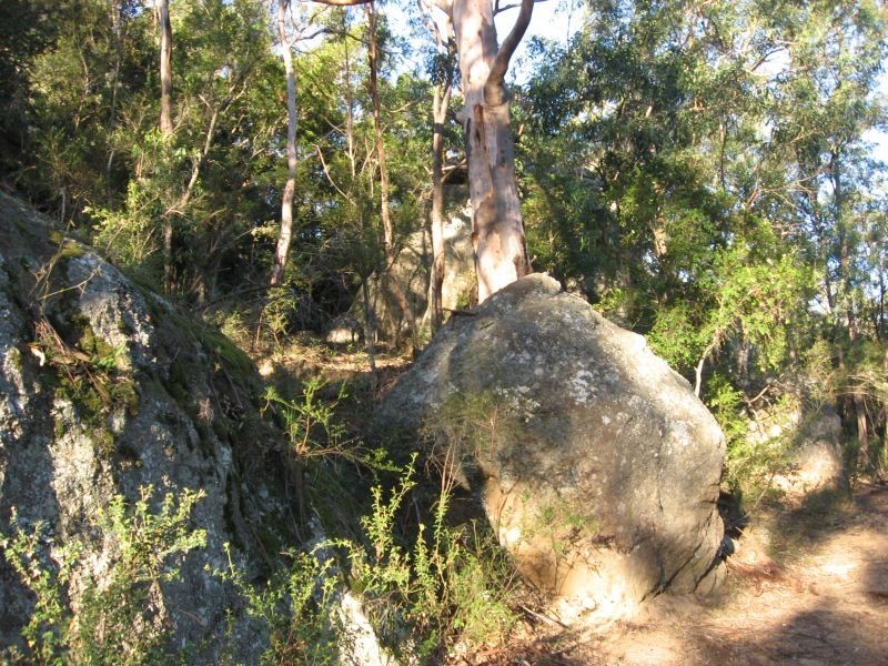 Broke NSW 2330