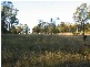 Broke NSW 2330