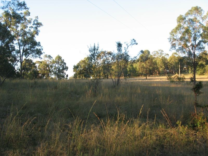 Broke NSW 2330