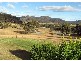 Broke NSW 2330