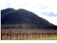 Lot 1 / DP794699 Milbrodale Road, Broke NSW 2330