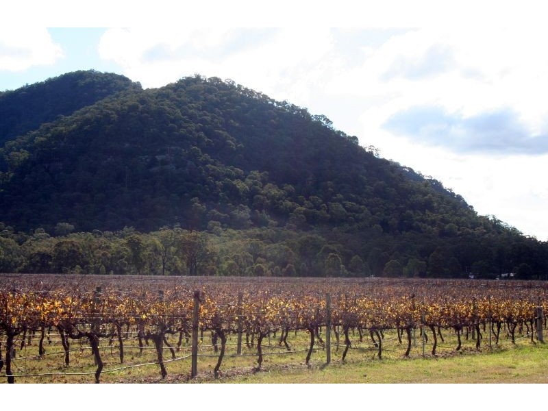 Lot 1 / DP794699 Milbrodale Road, Broke NSW 2330