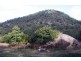Lot 1 / DP794699 Milbrodale Road, Broke NSW 2330