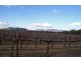 Lot 1 / DP794699 Milbrodale Road, Broke NSW 2330