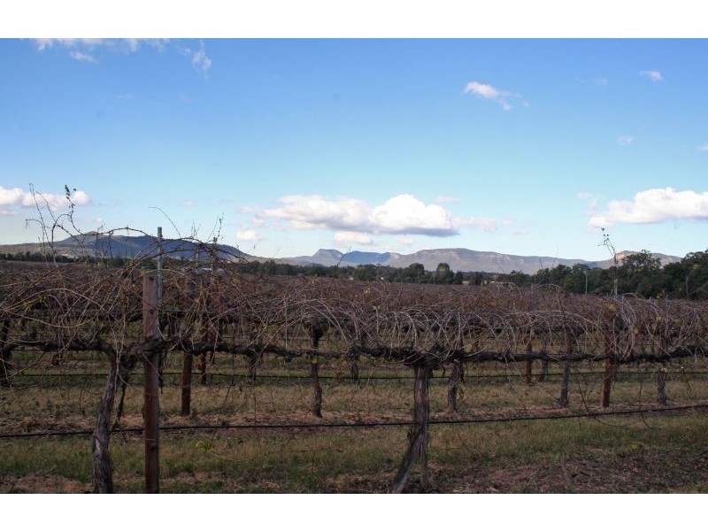 Lot 1 / DP794699 Milbrodale Road, Broke NSW 2330