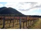 Lot 1 / DP794699 Milbrodale Road, Broke NSW 2330