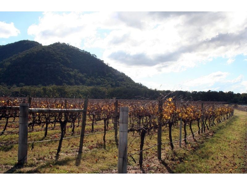 Lot 1 / DP794699 Milbrodale Road, Broke NSW 2330