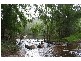 Cedar Creek NSW 2325