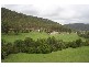 Cedar Creek NSW 2325