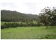 Cedar Creek NSW 2325