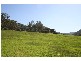 Cedar Creek NSW 2325