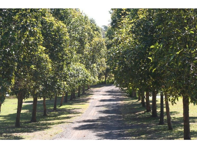 Rothbury NSW 2320