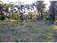 Lovedale NSW 2325