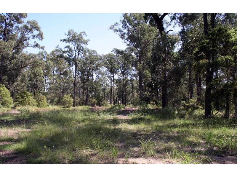Lovedale NSW 2325