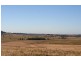 469  Anambah Road, Anambah NSW 2320