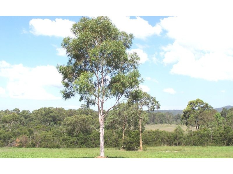 Kearsley NSW 2325